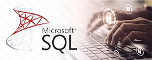 MS SQL Database (Veri Taban)