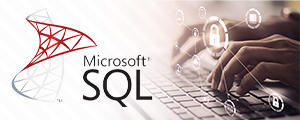 MS SQL Database (Veri Tabanı) Eğitimi